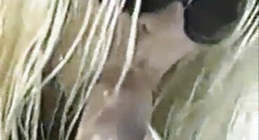 Semental señoras xxxx golpea a una morena de polla enorme con tetas firmes